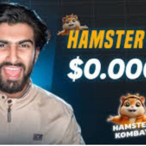 Hamster Kombat Coin price